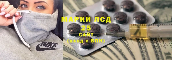 прущие грибы Алзамай