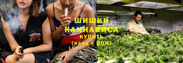 прущие грибы Алзамай