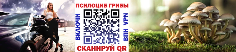 Галлюциногенные грибы Cubensis  Покачи 